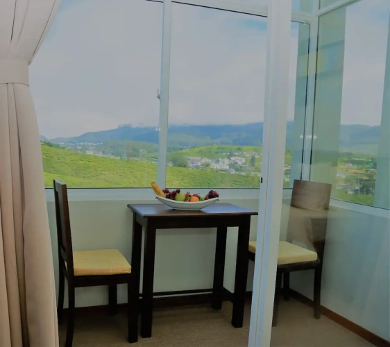 Superior Double room with balcony and with mountain view