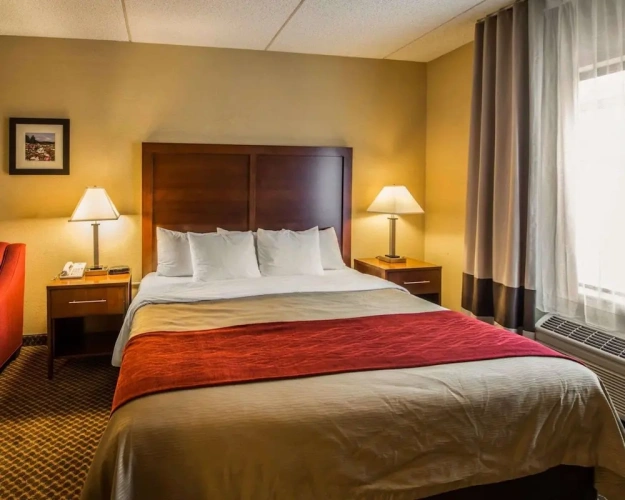 Standard Double Suite