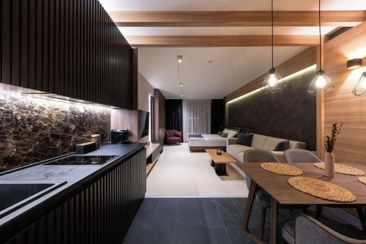 Luxury Apartment