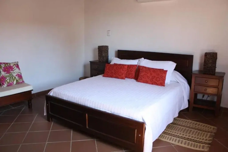 Standard Double room with garden view