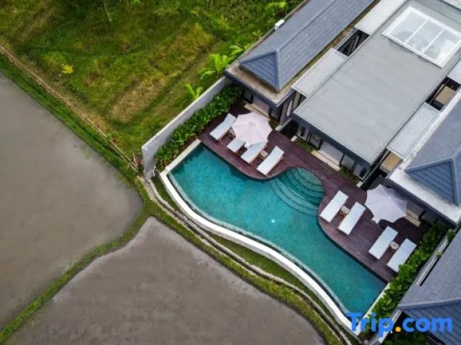 Villa Tenang – Modern 4BR, Private Pool, Ubud