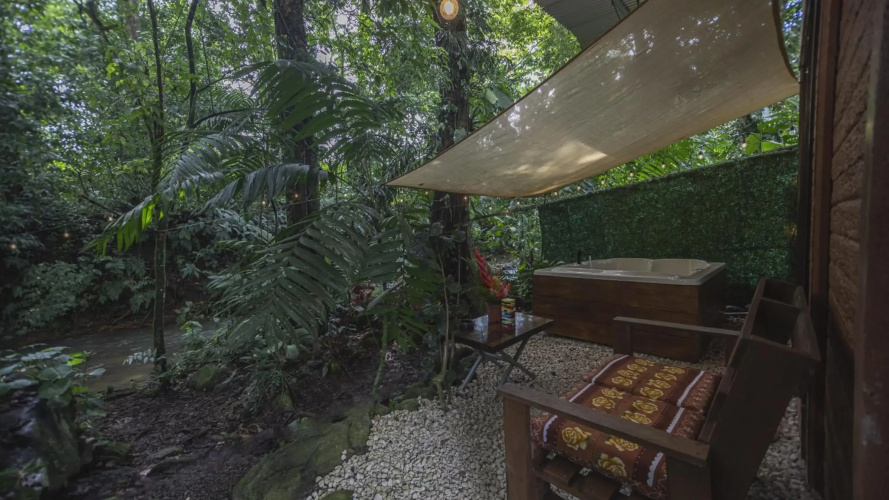 The Frog House