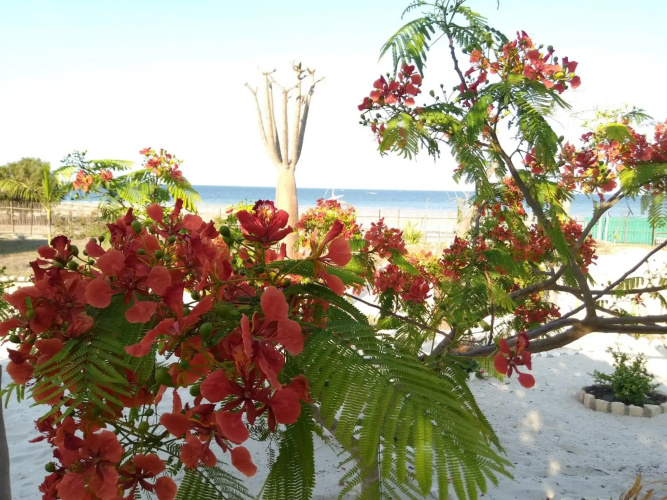 Villa Nature