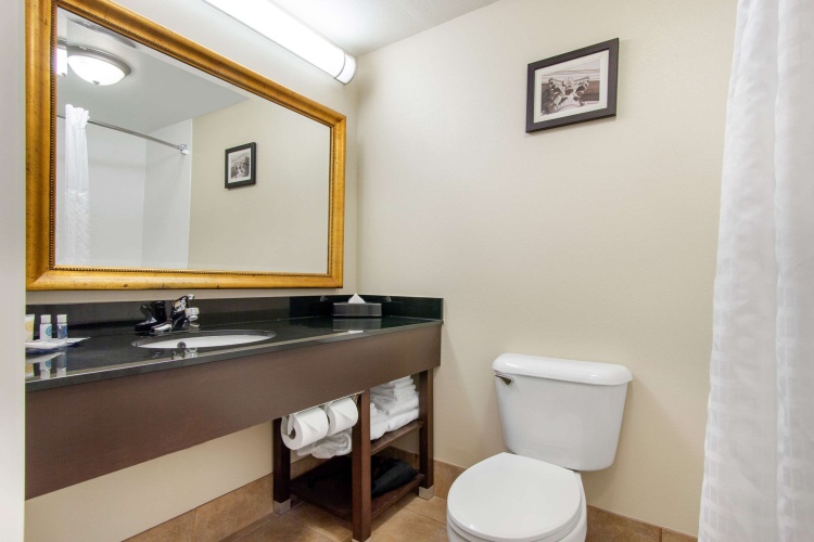 Quadruple Suite
