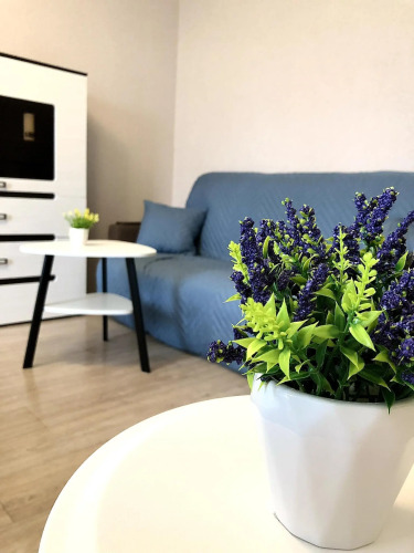 Фотография номера квартиры Апартаменты на проезде Пограничный 9