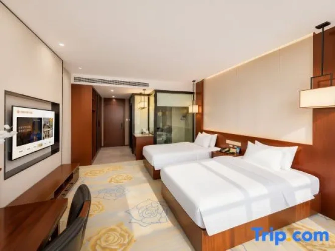 Standard Double room with city view