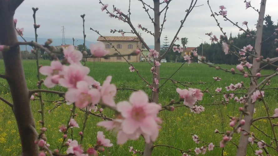 Tenuta Tre Terzi