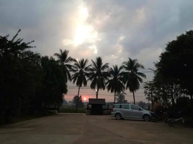 Maiyai Resort - Big Tree
