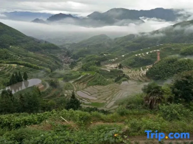 Yunhe Terraced Fields Homestay