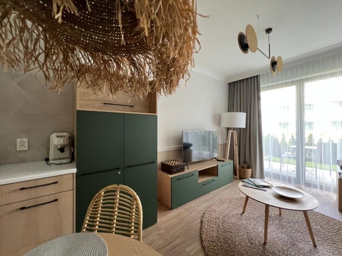 1 Bedroom Apartment