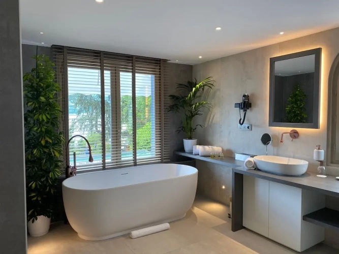 Standard Double room with balcony and with lake view