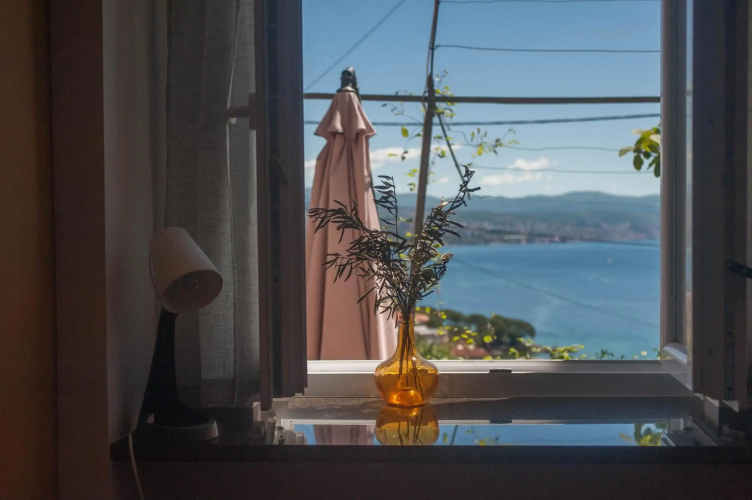 Kiwi Studio
