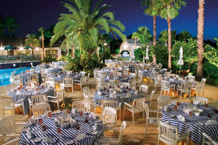 Saddlebrook Resort Tampa photo 26