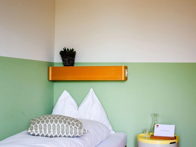 Standard Single room with mountain view