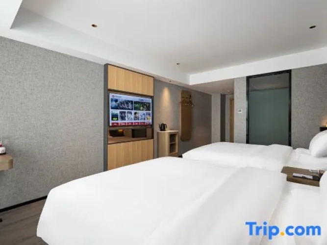 Standard Double room with city view