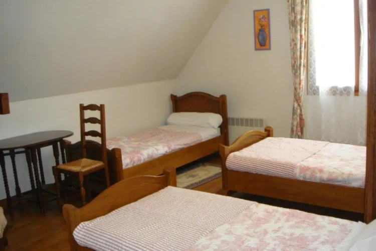 Standard Twin room with garden view