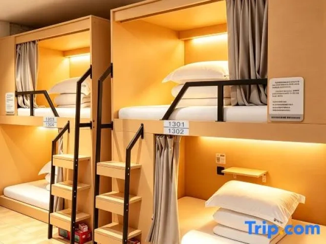 6 Bedrooms Bed in Dorm (male dorm)