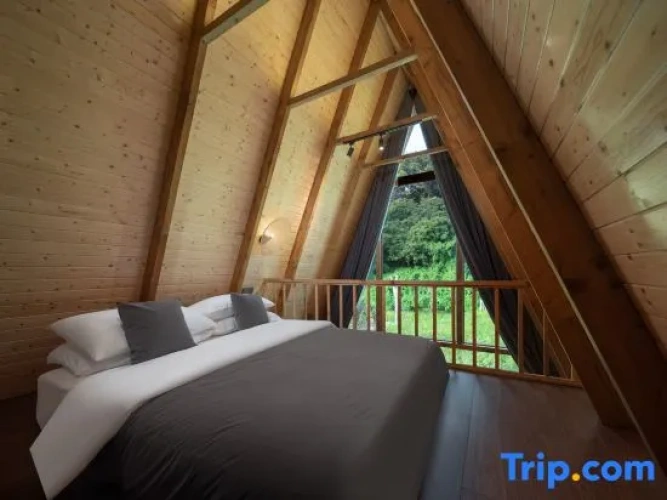 Standard Double Duplex room