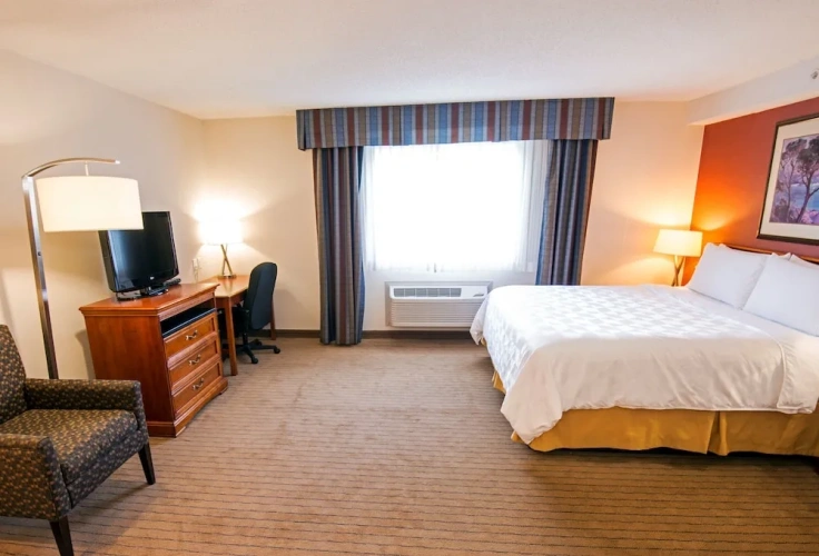 1 Bedroom Suite