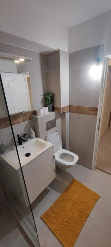 University Apartment