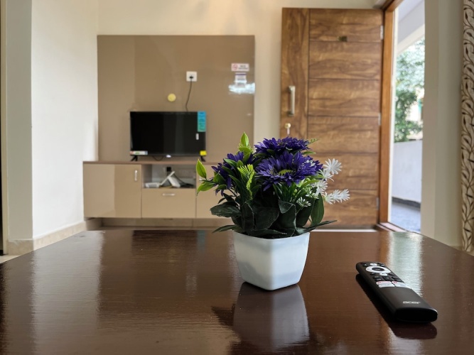 Executive Apartment