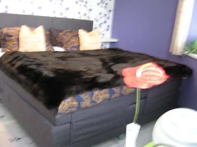 Superior Family Suite