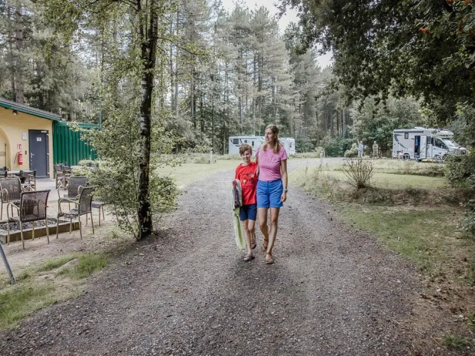Chalet Near Antwerp With Nature Trails