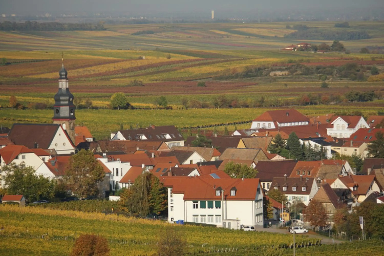 Ferienwohnung Knittel