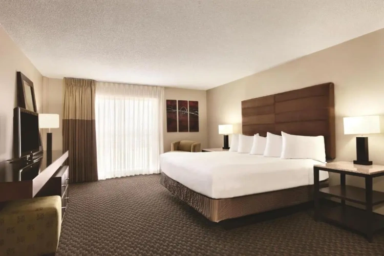 1 Bedroom Executive Double Suite