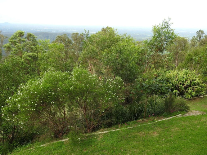 Misty Range