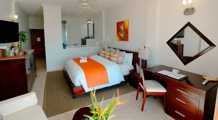 Junior Suite with view