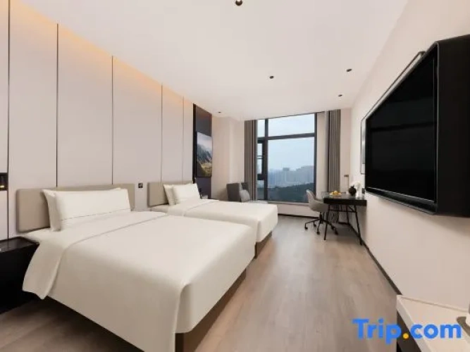 Executive Twin room