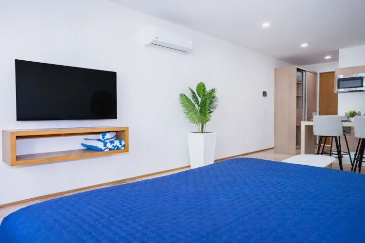 Menesse Town Tower 202 1 Bedroom Condo