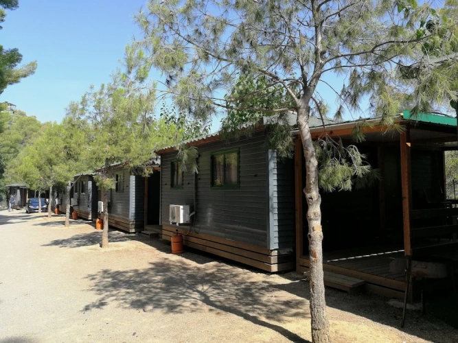 Classic Bungalow