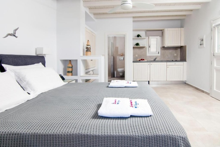 Standard Double room with balcony and with sea view