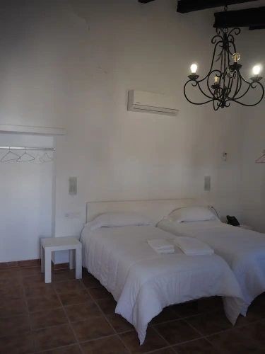 Economy Twin room with garden view