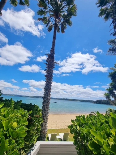 Comfort Double Suite beachfront