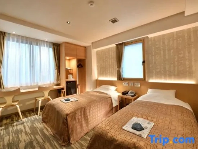 Standard Twin room with city view