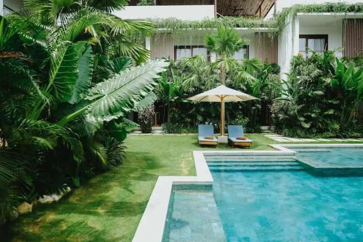 Deluxe Double room with pool view