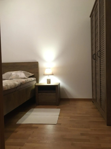 Fantastic Apartment De LUX