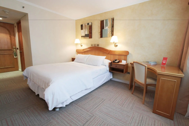 Hotel Torremayor Lyon