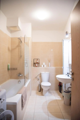 Apartment Tereza
