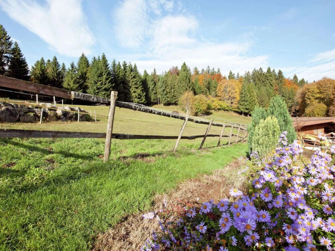 Ferienwohnung im Schwarzwald mit Garten