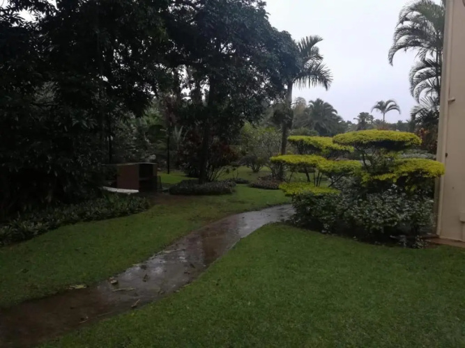 The Eden Palms