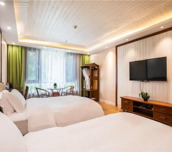Standard Twin room with mountain view