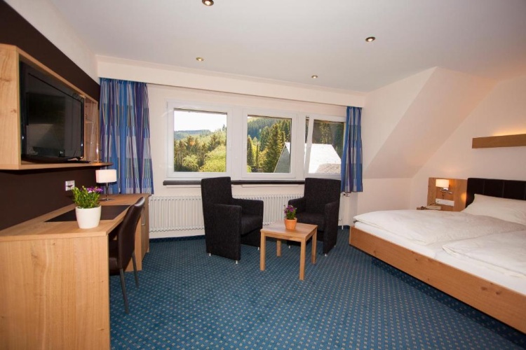 Standard Double room with view
