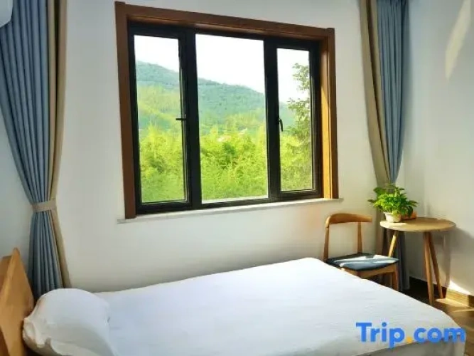 Standard Double room with mountain view