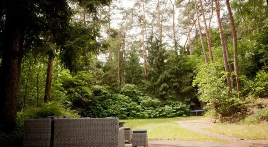 Lovely chalet in the woods