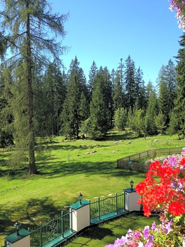 Standard Single room with balcony and with view