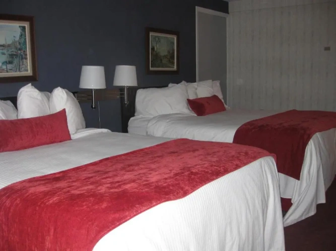 Quadruple Suite